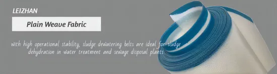 160mesh/64t Plain Woven Polyester Mesh for Screen Printing